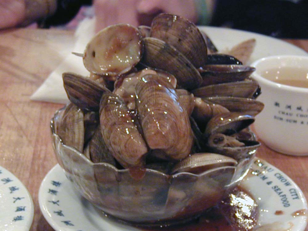 044_Clams