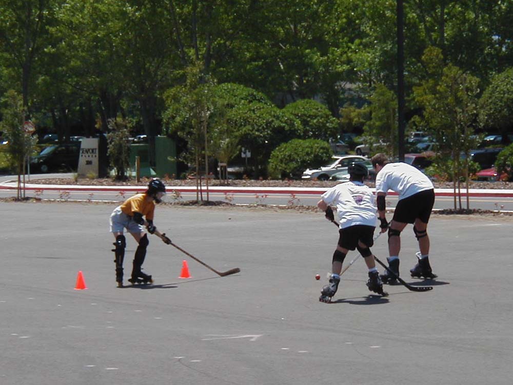 007_roller_hockey