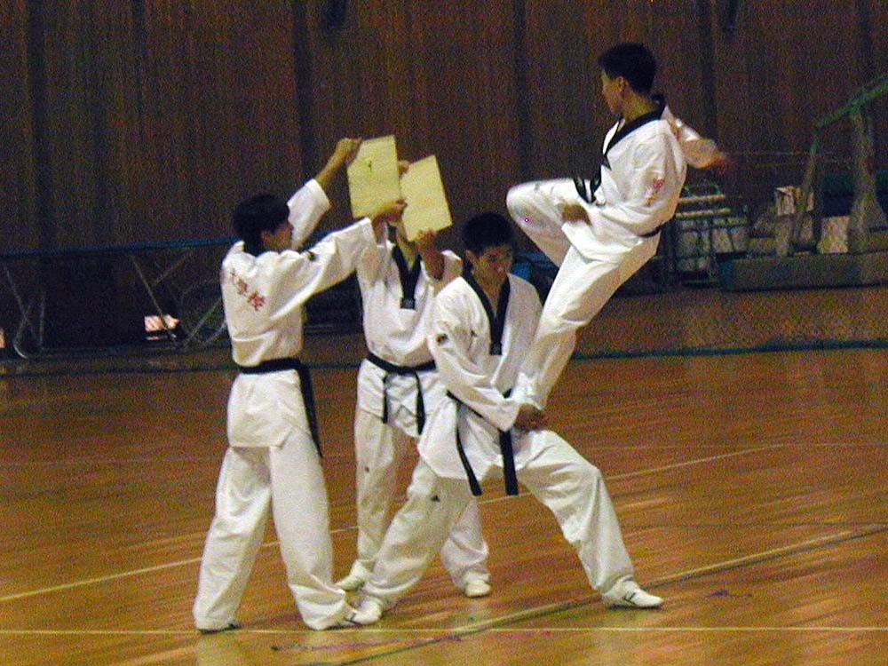 064_tkd_demo